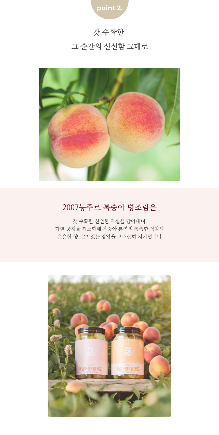 [2007 능주르] 복숭아 병조림 2종 7