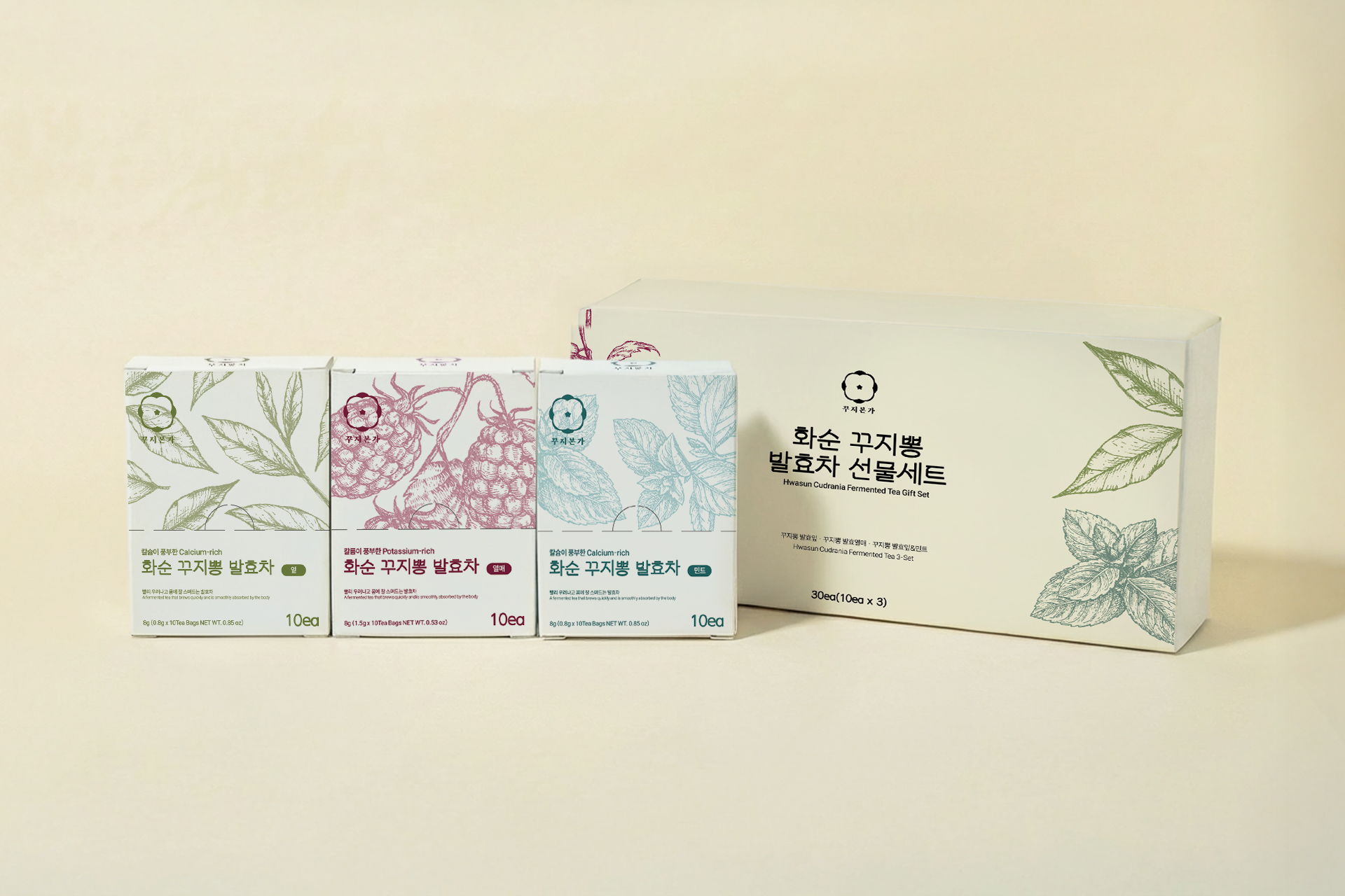 화순 꾸지뽕발효차 : 선물세트